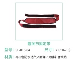 海绵蘑菇视频黄色下载有什么特点？